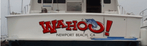 Wahoo Custom Graphics