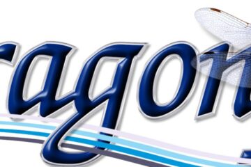 Dragonfly custom boat graphic