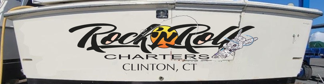 Boat Rocker Scriptsd Rock 'n Roll Charters boat graphic - Boat Lettering